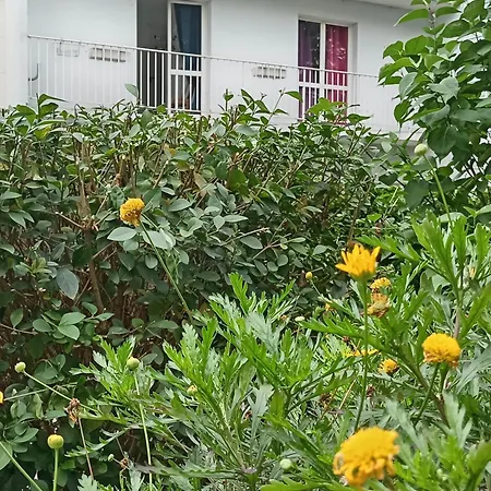 Homestay Cosy Centre Au Pied Du Metro *