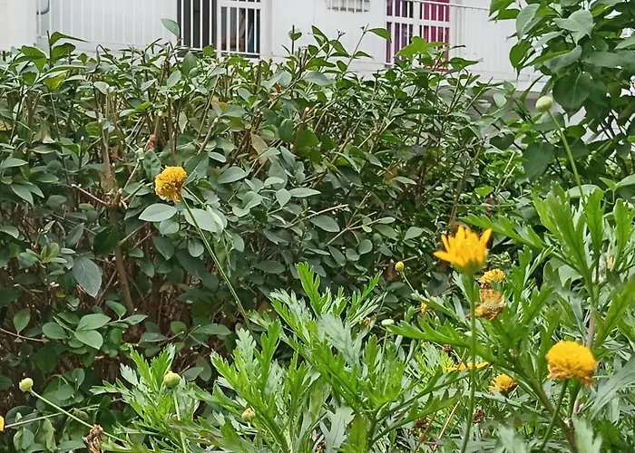 Quarto em Acomodações Particulares Cosy Centre Au Pied Du Metro *
